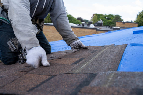 Best Sealant for Roof  in Merriam Woods, MO